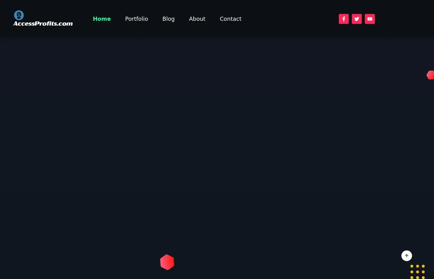 accessprofits.com