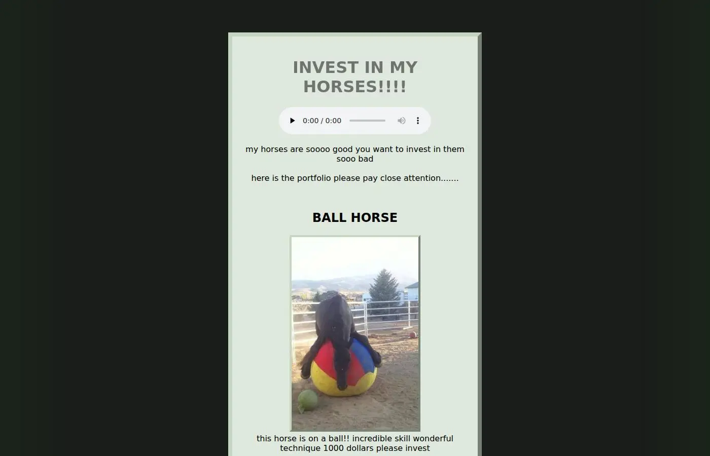 horse.investments