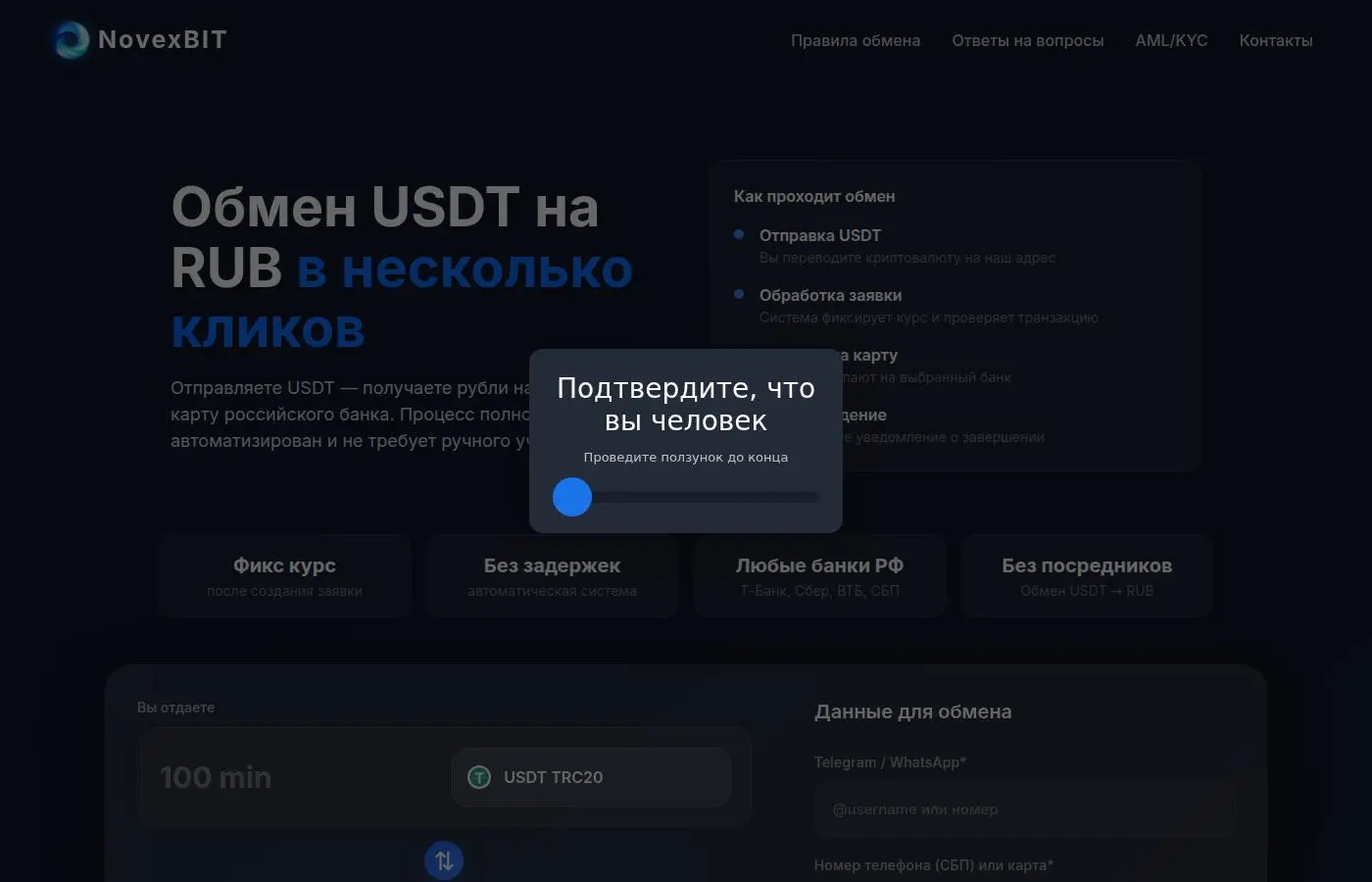 novexbit.com