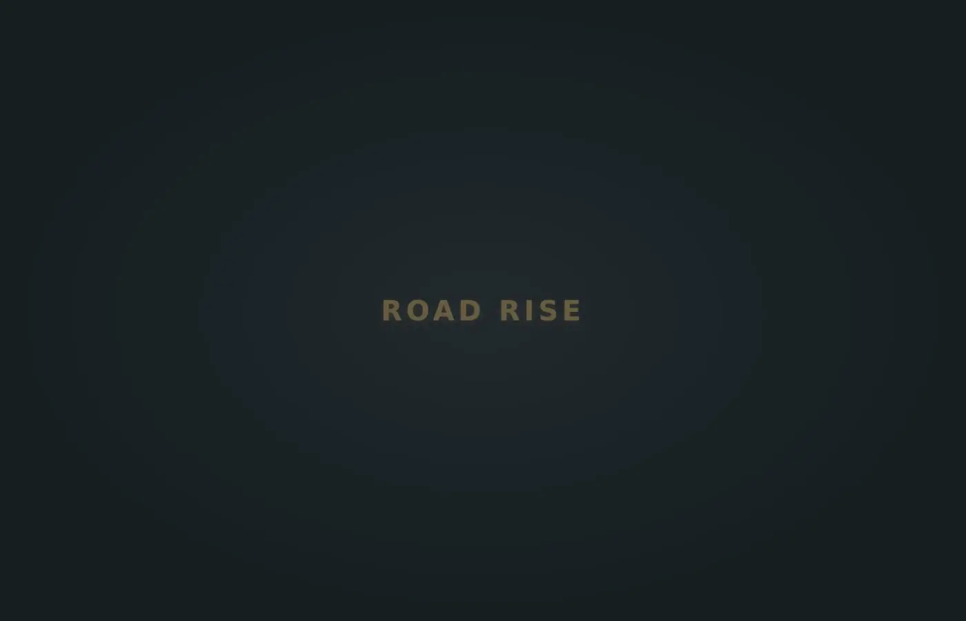 roadrise.info