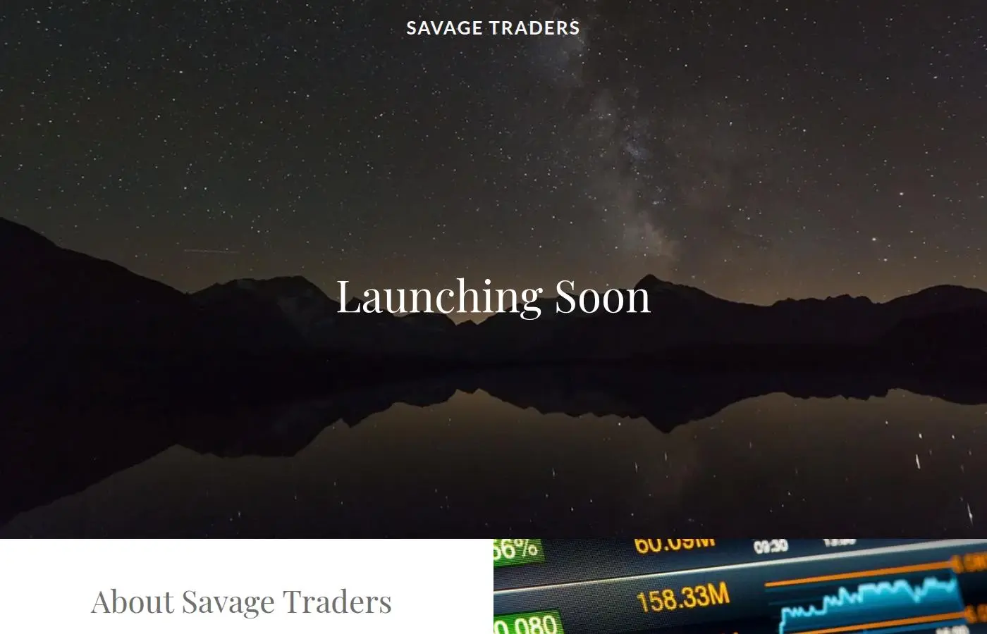 savagetraders.com