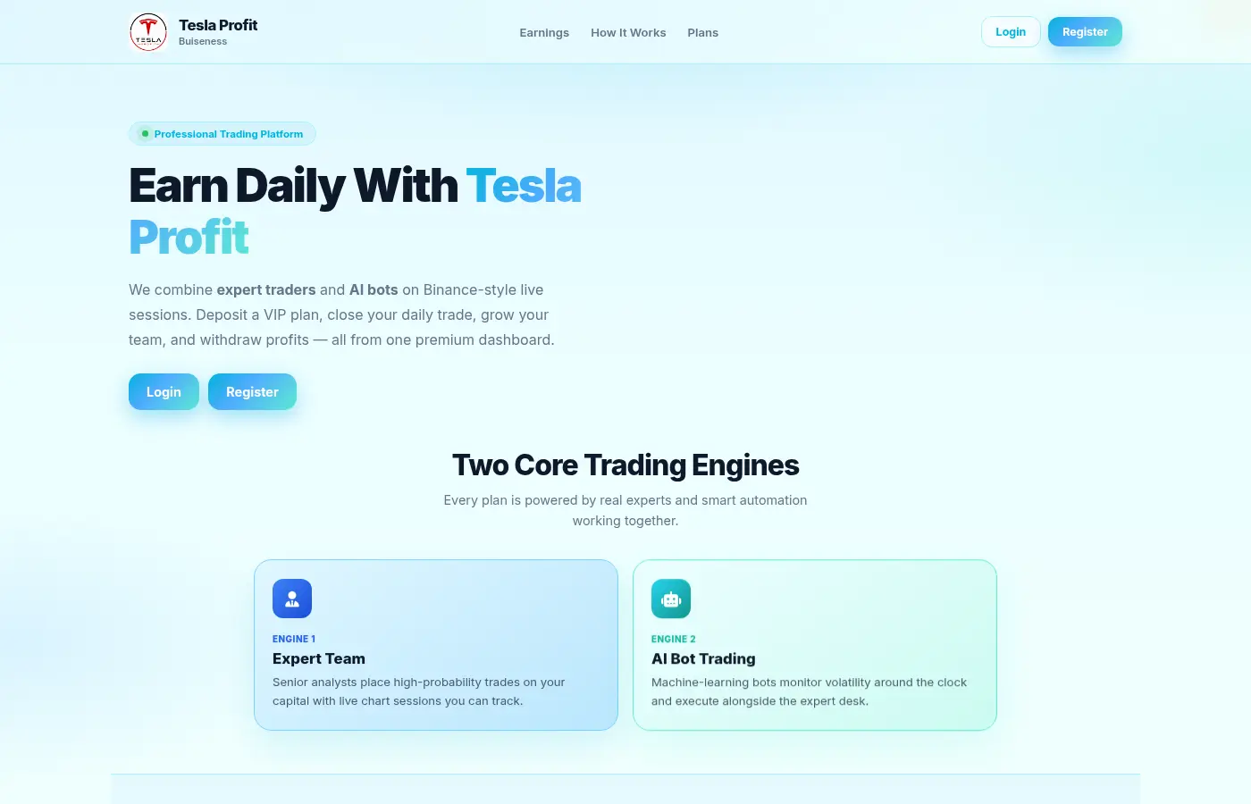 teslaprofits.com